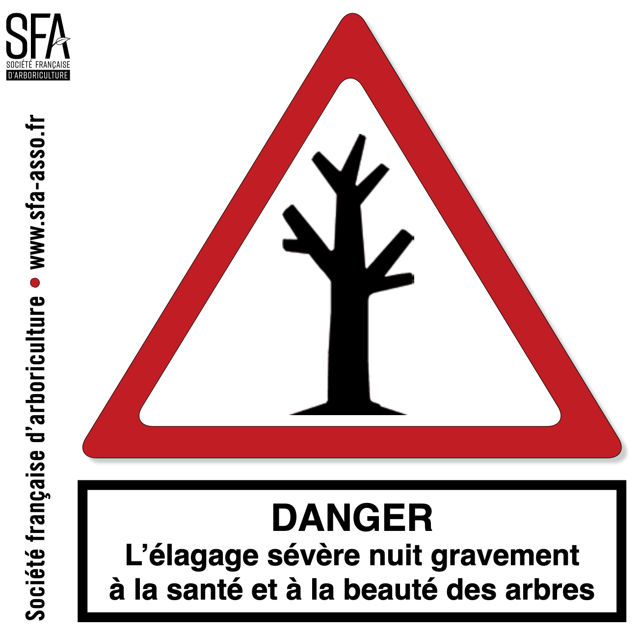 la taille sévère tue les arbres